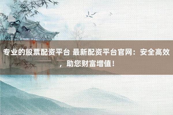 专业的股票配资平台 最新配资平台官网：安全高效，助您财富增值！