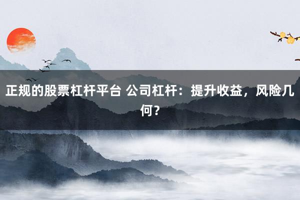 正规的股票杠杆平台 公司杠杆：提升收益，风险几何？