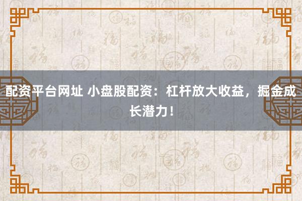 配资平台网址 小盘股配资:杠杆放大收益,掘金成长潜力!