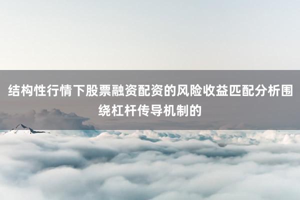 结构性行情下股票融资配资的风险收益匹配分析围绕杠杆传导机制的