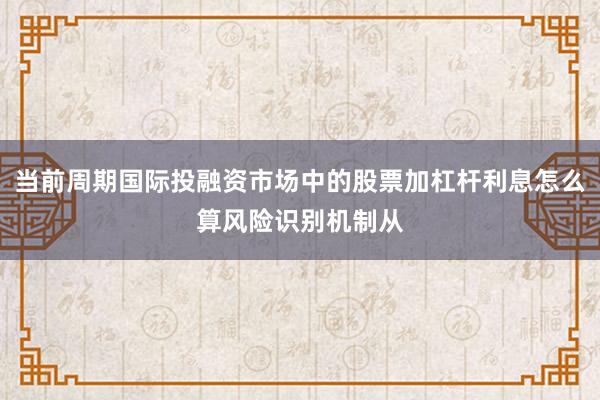 当前周期国际投融资市场中的股票加杠杆利息怎么算风险识别机制从