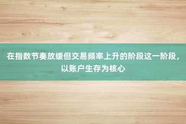 在指数节奏放缓但交易频率上升的阶段这一阶段，以账户生存为核心