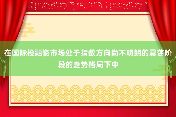 在国际投融资市场处于指数方向尚不明朗的震荡阶段的走势格局下中